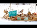 The traveling bird feeder 3   relax with squirrels  birds 2hour special