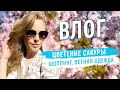 🌸САКУРА В ПИТЕРЕ/КОСМЕТИКА/ПРИМЕРКА И ПОКУПКИ ОДЕЖДЫ/KATRINA BERRY