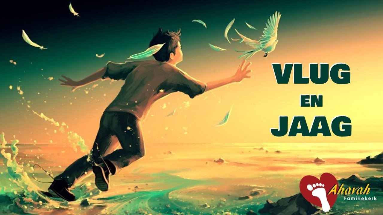 Vlug en Jaag