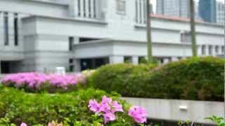 Walkabout with D3100