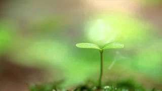 Deep Self-Work vs. Superficial Problem Solving (Part 2)