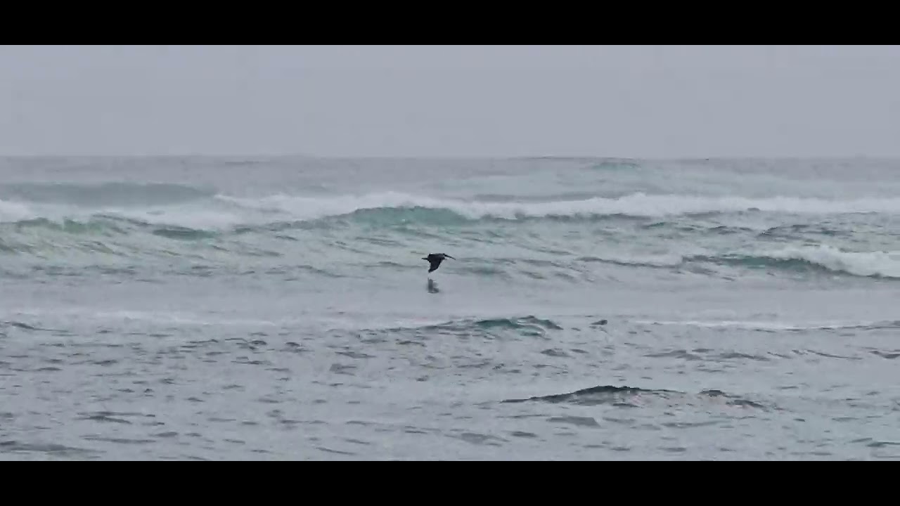 Punta Cana, Dominican Republic Beach November 2024 #3