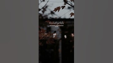 سورة لقمان#بصوت القارئ ياسر الدوسري