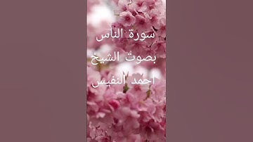 سورة الناس بصوت الشيخ أحمد النفيس #قران_كريم #تلاوة_خاشعة #متابعة_لايك #راحة_نفسية #اكسبلور #ترند