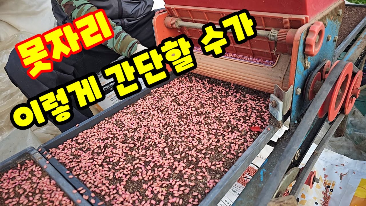 못자리 만드는 과정 [벼재배방법] - YouTube