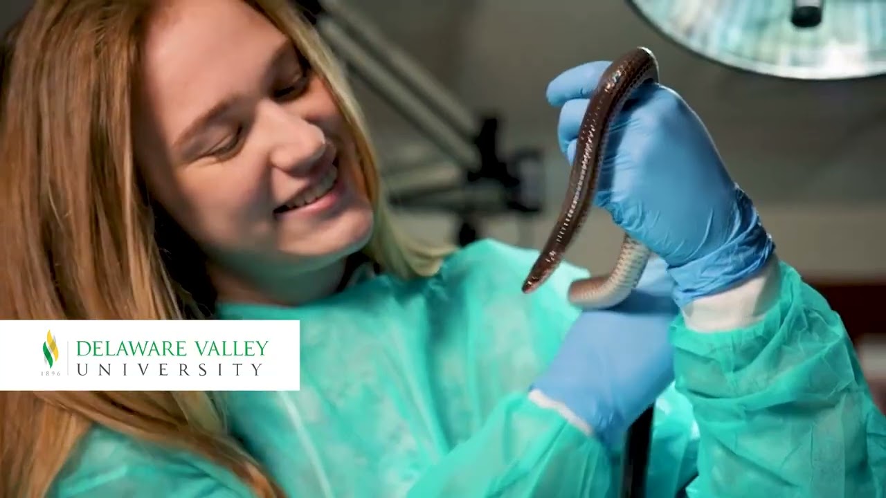 College Campus Cooking | Chef Michael Solomonov