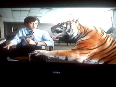 zebra gum commercial