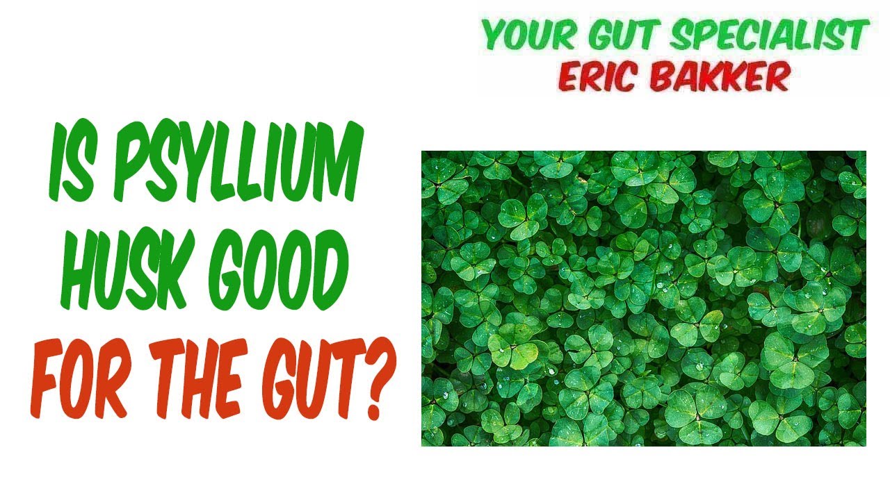 Is Psyllium Husk Good For The Gut YouTube Is Psyllium Husk Good For The Gut YouTube