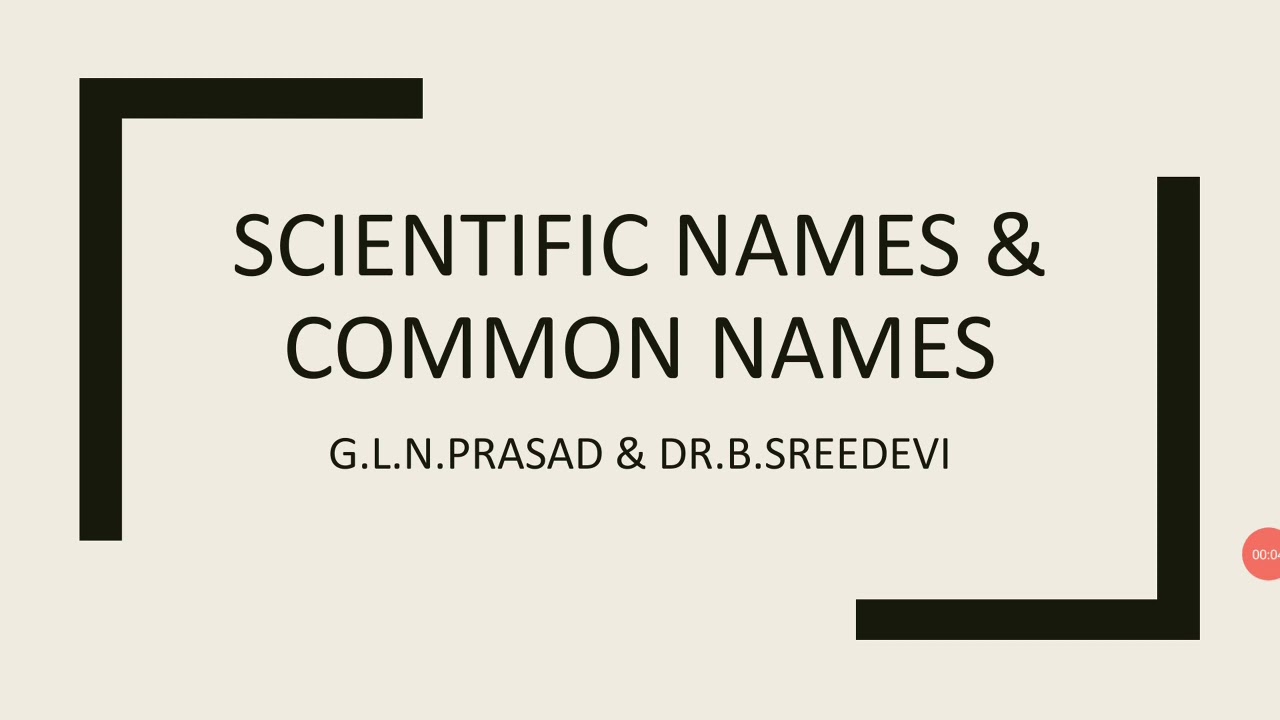 Scientific & Common names of animals - YouTube