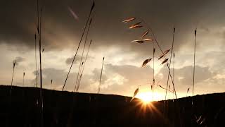 4K Sunset | Calm & Relaxing Evening Sky | Free Stock Footage screenshot 5