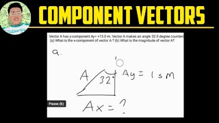 Component Vectors Problem Solving