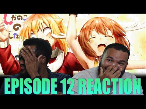 A Rocky Finale! | My Deer Friend Nokotan Episode 12 Reaction