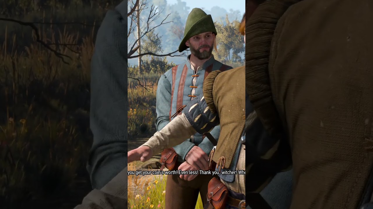 Rare encounter in the Witcher 3