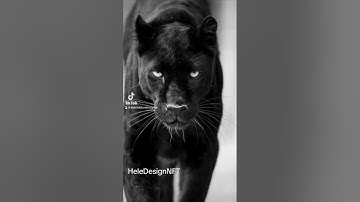 "From Hype to Reality: NFT Shilling Demystified in a Short Video" #shorts #youtubeshorts #nftshill