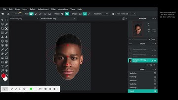 Face Slice Pixlr-E Tutorial
