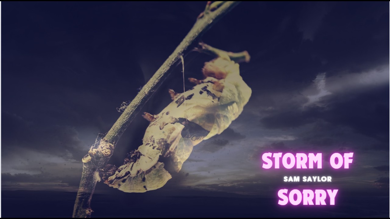 Sam Saylor - Storm of Sorry auf YouTube ansehen Sam Saylor - Storm of Sorry auf YouTube ansehen