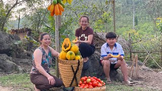 Harvest tomatoes and papaya with your family to sell at the market and cook with your parents