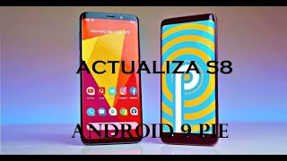 actualizar SAMSUNG Galaxy s8 SM- G950FD  a la versión android 9 PIE 2020 (FIRMWARE DE COLOMBIA)