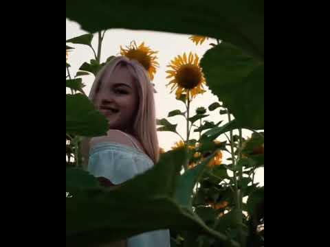 لولا الملامة ياهوى لولا الملامة لفرد جناحي ع الهوى ذي اليمامة