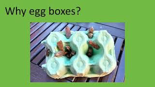 An Introduction to Moth Trapping for Beginners - Mike Hill and Tom Shields (Notts BAG Forum 2024)