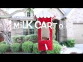 Milk Carton Bird Feeder Mp3 Song