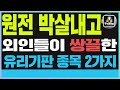 ✅필옵틱스 주가전망 두산에너빌리티 원전 박살내고 외인들 쌍끌한 유리기판 종목 2가지✅ #필옵틱스 #유리기판 #필옵틱스주가전망 #피아이이 #켐트로닉스 #원익 #다날 #한화 #피코그램