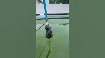 Worst part of summer NEVER ending algae battle DIY pool Vacuum #summer #poolside #DIY #pool #hack