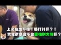 【柴犬Nana(奈奈)】打針好可怕!究竟奈奈打針會不會怕到大叫呢?!