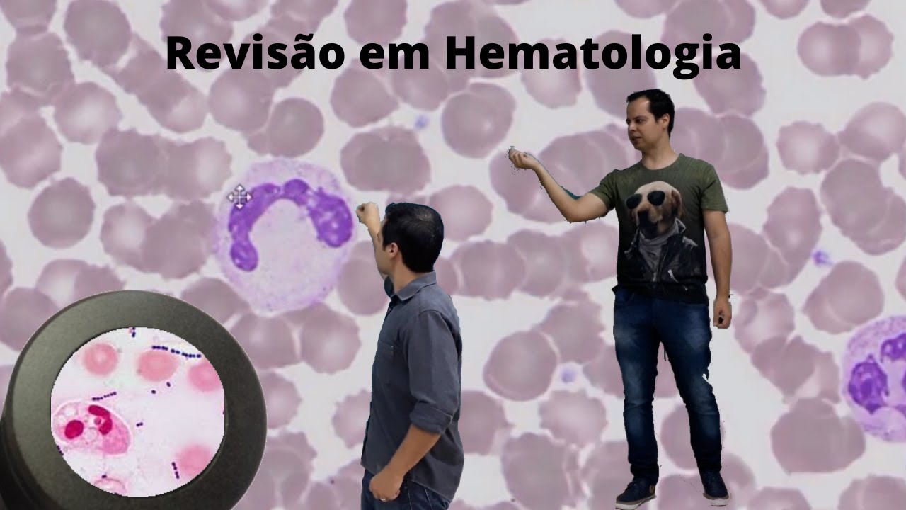 Hematopoiese, Eritropoiese índices hematimétricos, Aulão completo 1