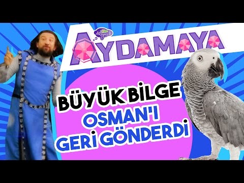 Büyük Bilge Osmanı Geri Gönderdi - Aydamaya - Düşyeri