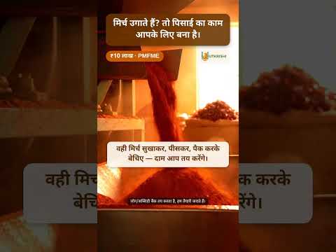 मिर्च उगाते हैं? तो पिसाई का काम आपके लिए है