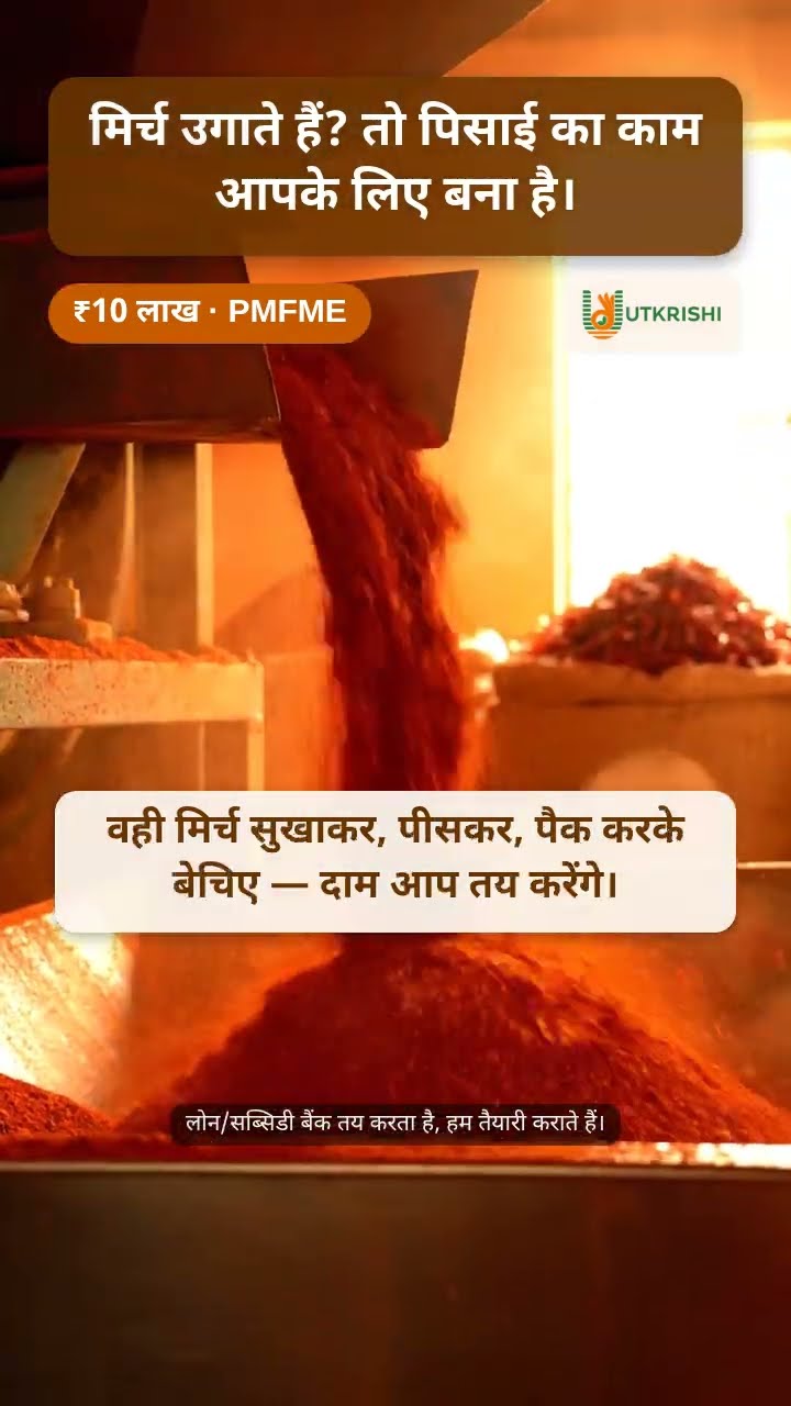 मिर्च उगाते हैं? तो पिसाई का काम आपके लिए है