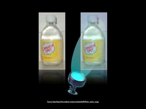 Fast Forward - Dark Flash