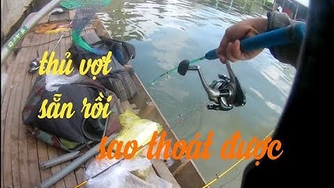 3 bài mồi - Câu cá Cóc - cá Tra Lê Khuyến thường dùng - cù lao Tân Lộc - Video - 116