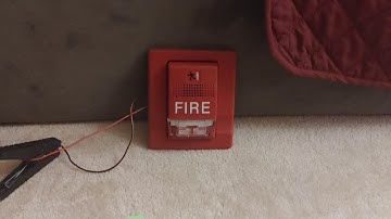 Edwards Geneisis Remote Strobe