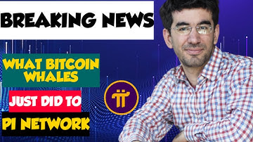 New Pi Network Update:This Just Happened...What Bitcoin Whales Did To Pi Network ...