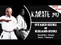 Secret dentranement 8  gyaku zuki  kizami zuki  variations et applications en kumit