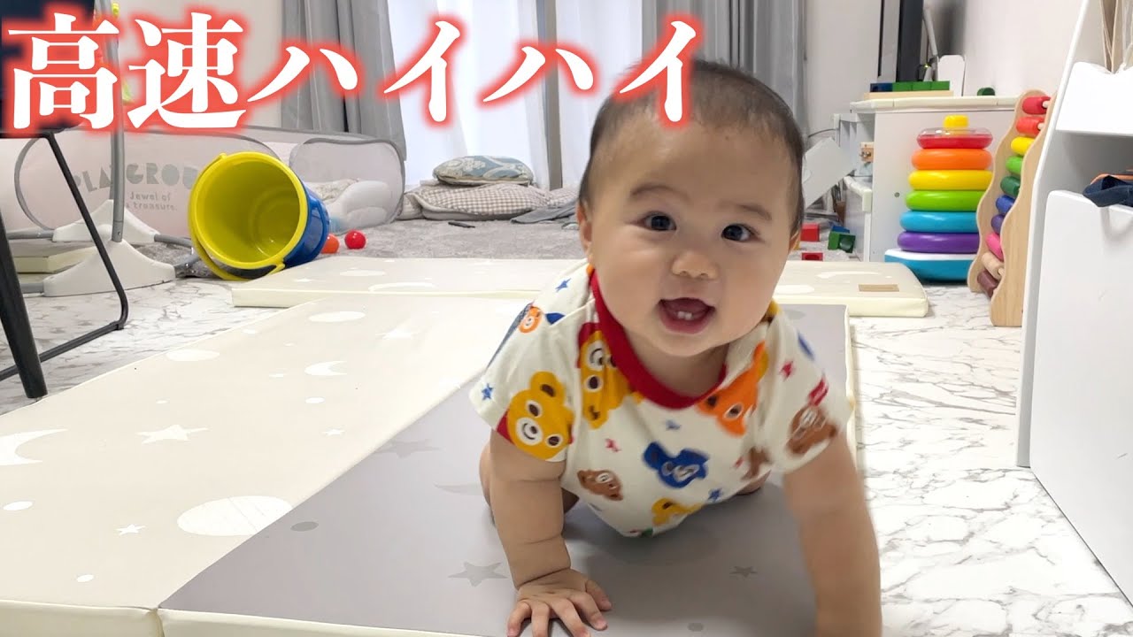 高速でハイハイをする赤ちゃんが可愛すぎる(9ヶ月) - YouTube