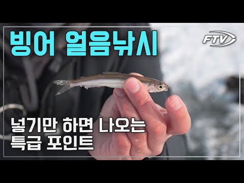 빙어 <strong>얼음낚시</strong> 특급포인트에서 누구나 마릿수 할 수 있는 방법과 빙어 요리까지!! [낚집자극장]