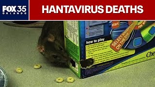 3 Dead in Suspected Hantavirus Cruise Ship Outbreak
