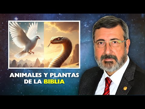 🦄 ¿La Biblia habla de UNICORNIOS? Spoiler: sí… pero no como crees #editorialclie