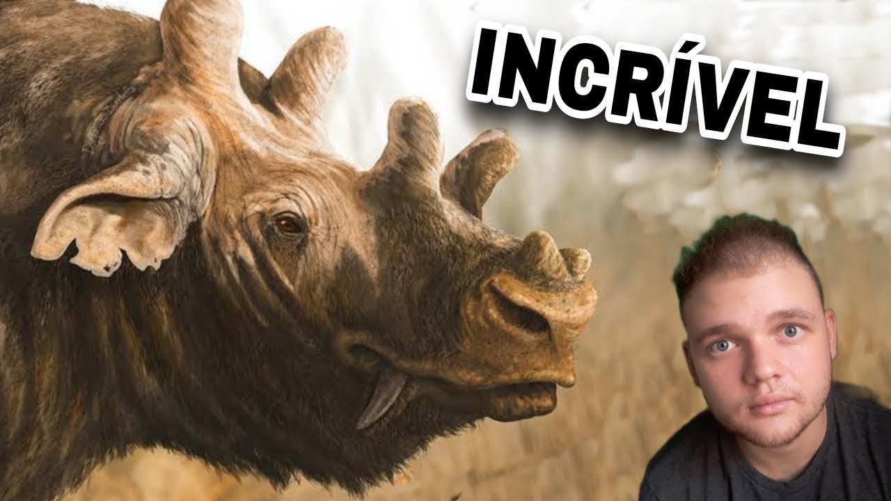 Rinocerontes Pré Históricos - Evolução - Animais Pré Históricos