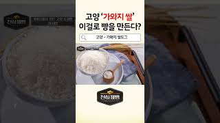 고양 '가와지 쌀' 이걸로 빵을 만든다|천하제빵