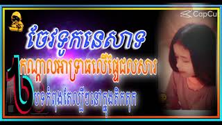 ចវទកនសទ