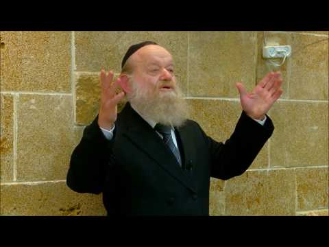 הרב יוסף בן פורת - מה עומד מאחורי התפיסה החרדית? HD (הרצאה מדהימה!)