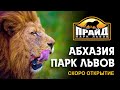 АБХАЗИЯ 🔥 Такого мы еще не видели!!!  Парк львов «Прайд»