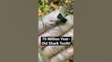 If You See Gravel, Always Check For This! #Shorts