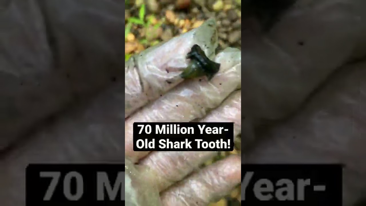 If You See Gravel, Always Check For This! 