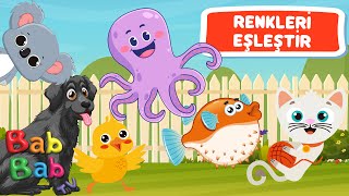 Renkleri̇ Eşleşti̇r -Renkleri Öğreniyorum