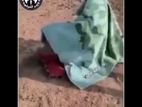 صباح خير يامدلل